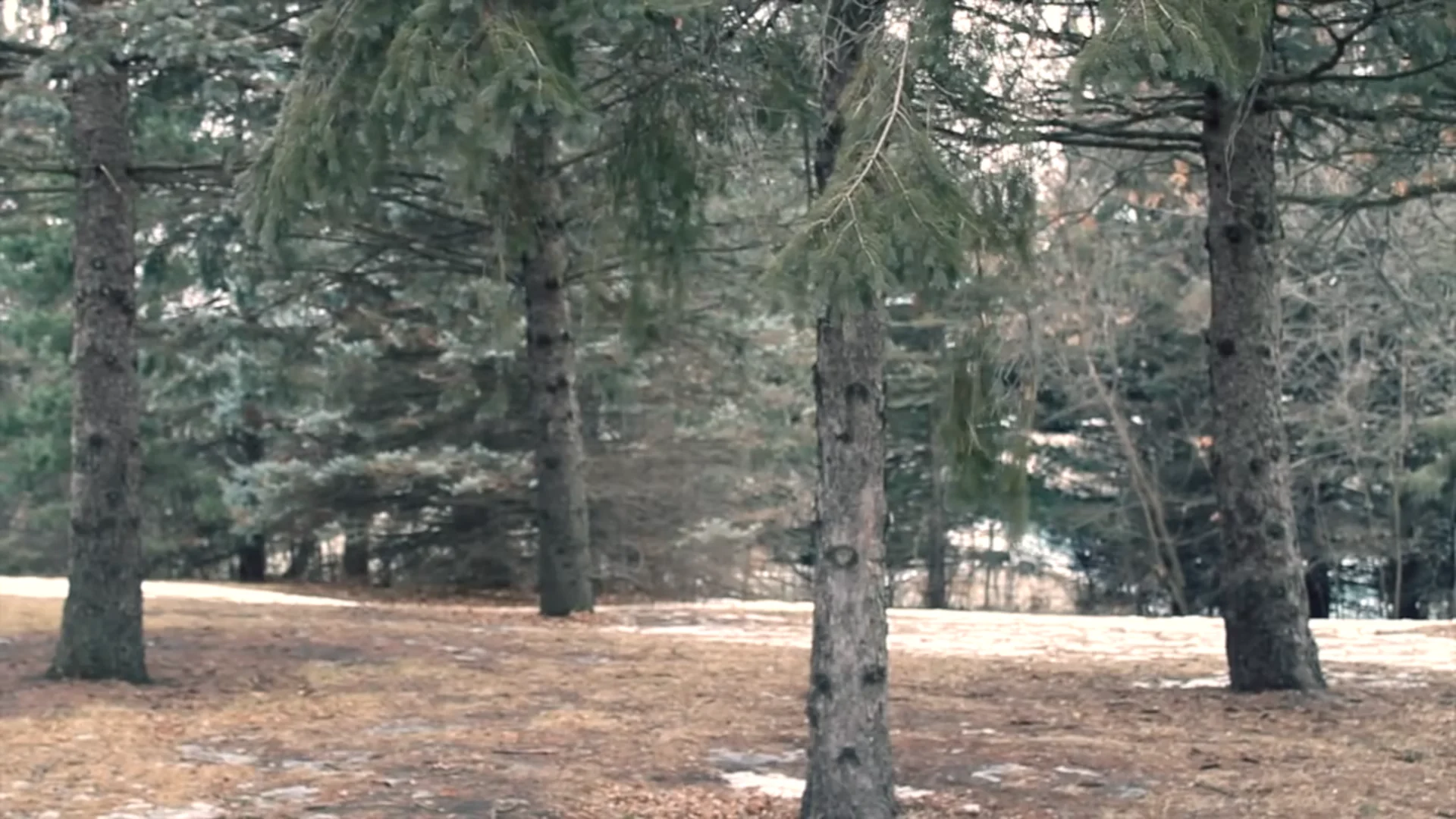 PATHS still 12